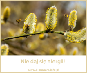 Ciesz się wiosną i nie daj się alergii!