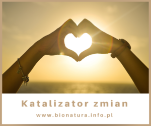 Read more about the article Miłość-katalizator pozytywnych zmian