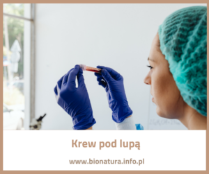 Read more about the article Krew pod lupą: jak powstaje i dlaczego decyduje o Twoim zdrowiu